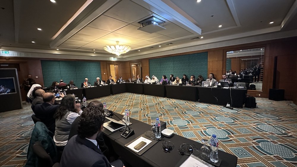 The Cairo roundtable in progress.